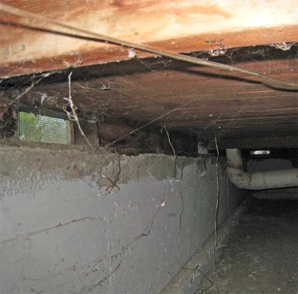 Crawlspace Water Removal in New Hill, North Carolina