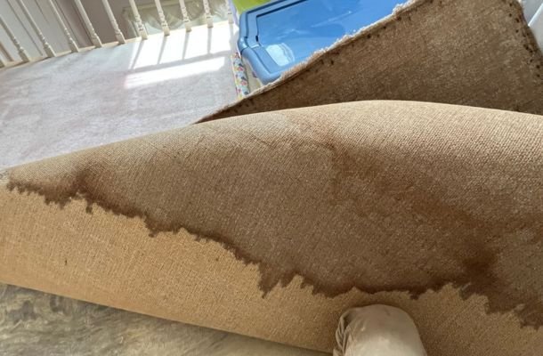 Water Damage, Fire Damage & Mold Remediation Experts In Cary, North Carolina