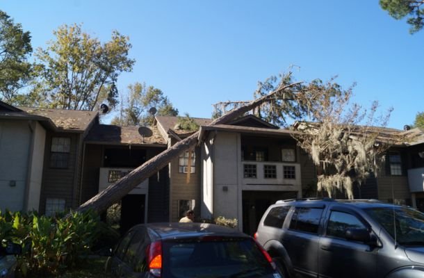 Storm Damage Restoration Cary, North Carolina